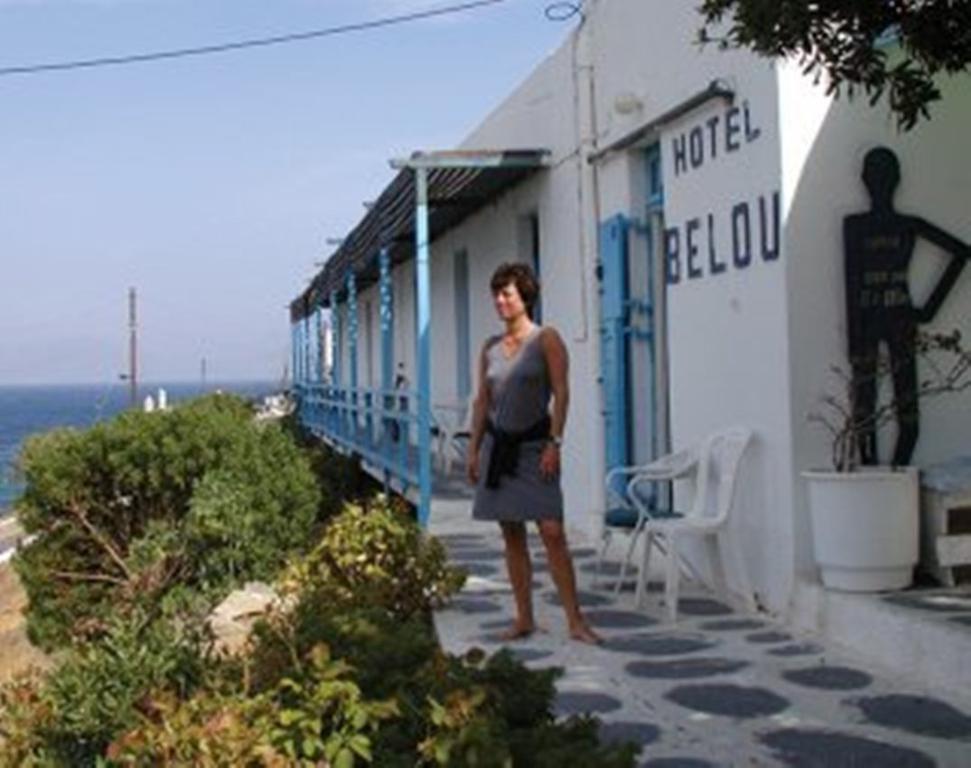 Guest house Belou 2*