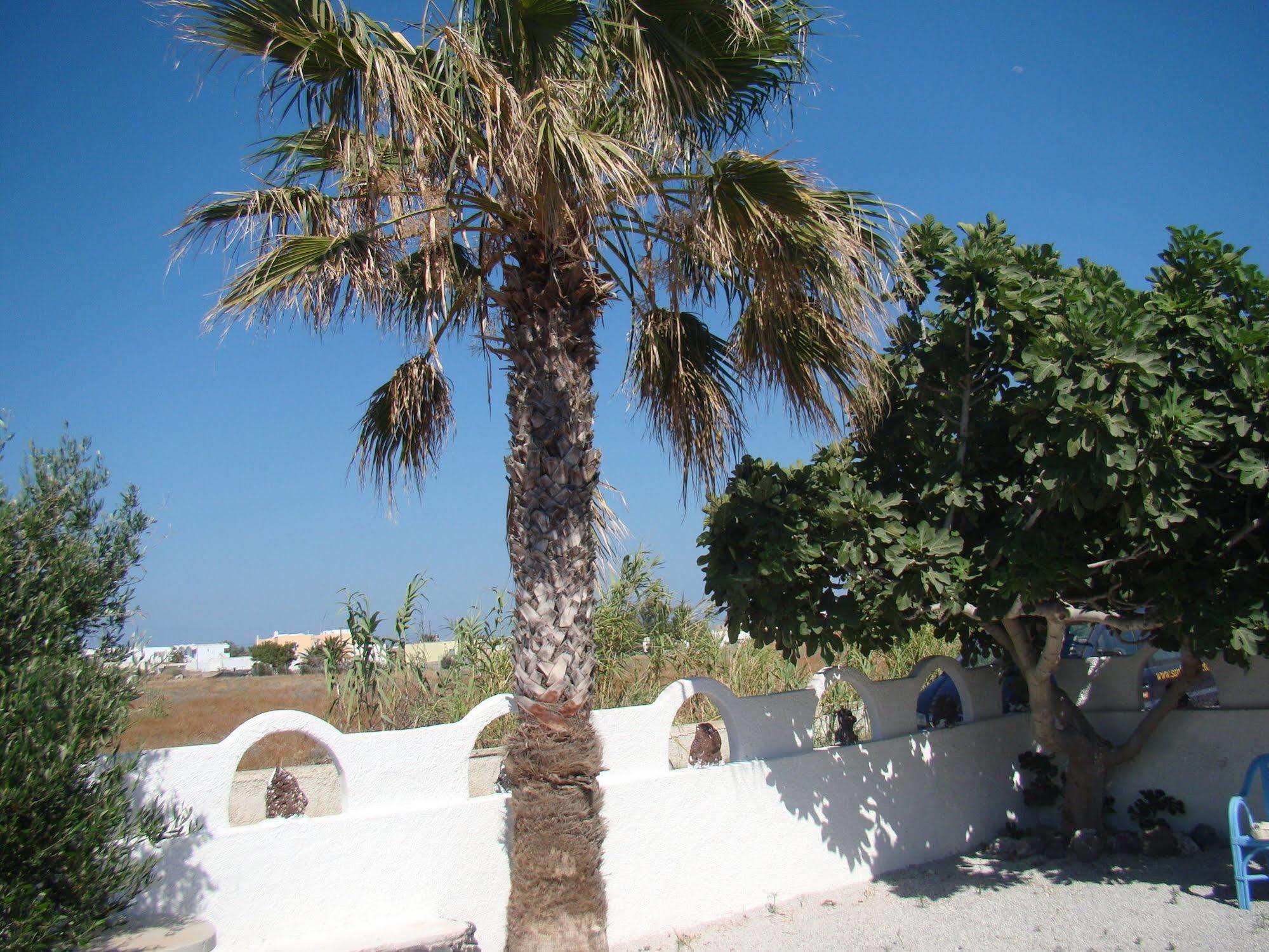 Tonaras & Perivolos (Santorini)