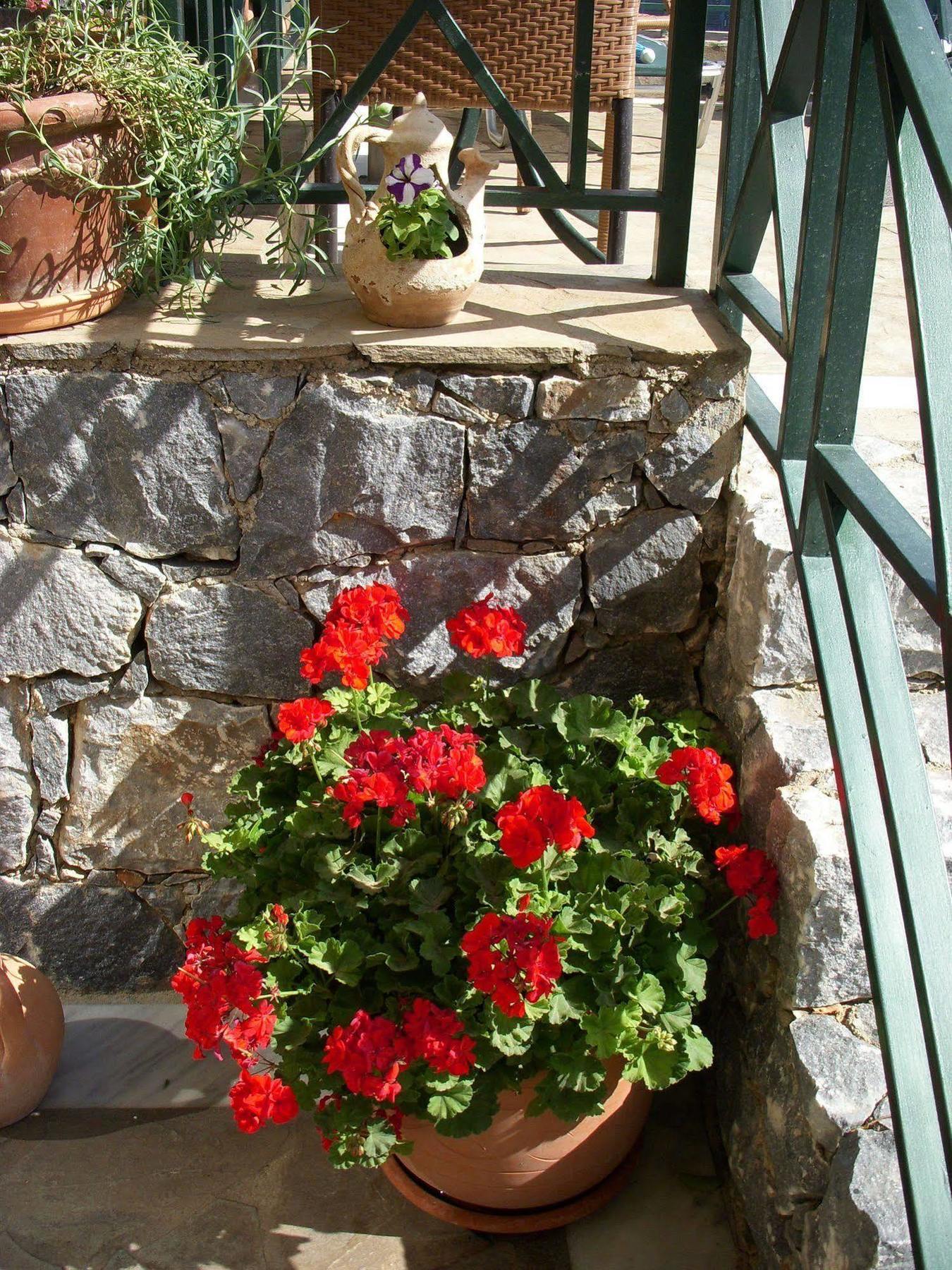 Romantica Aparthotel Georgioupoli