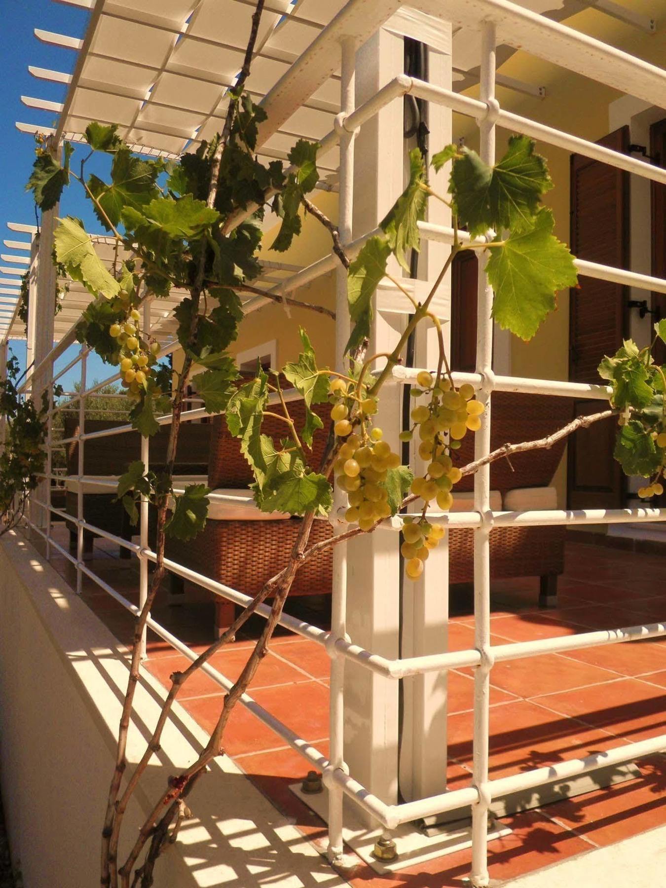 Apartment Tesoro Of Ithaca *