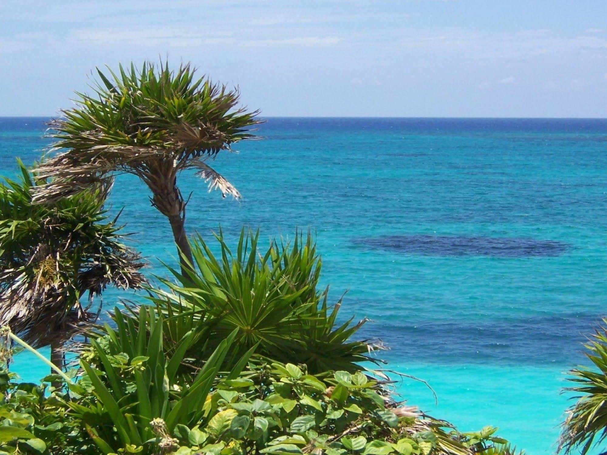 Apartment Elenis Ierapetra (Crete)