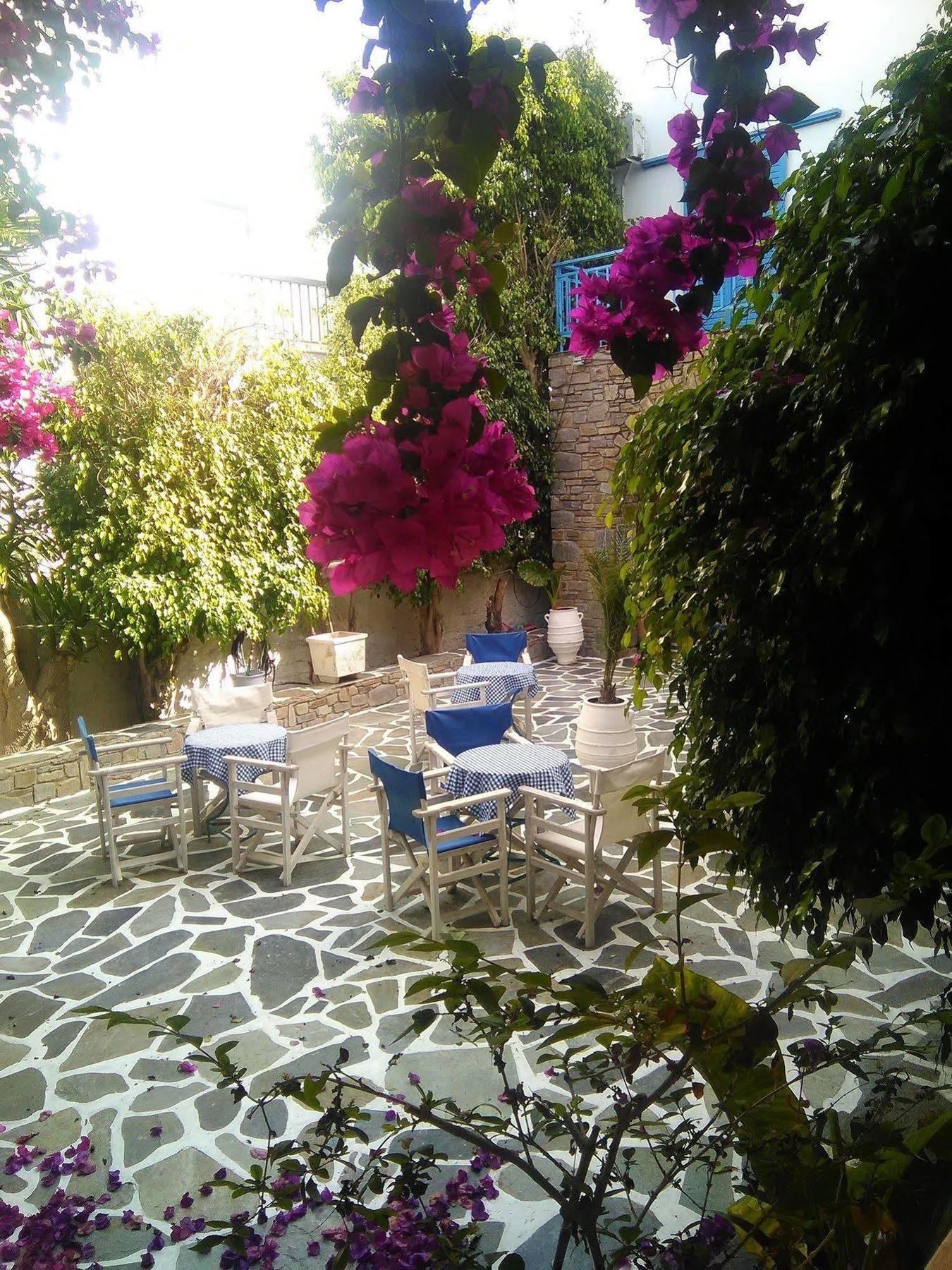 Hotel Grivas Parikia (Paros)