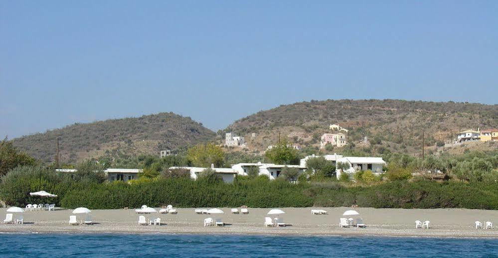 Niriides