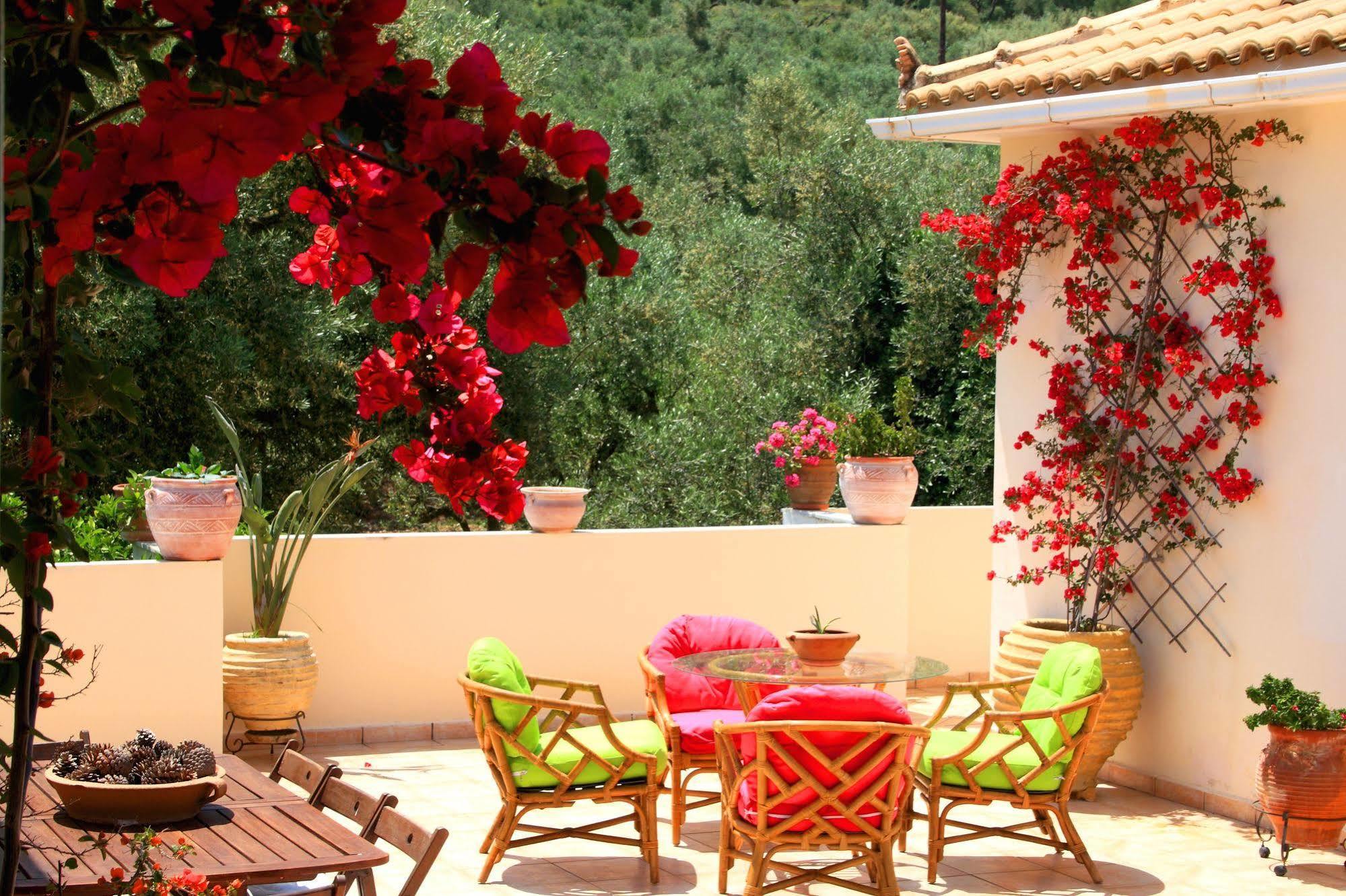 Phoenix Aparthotel Laganas