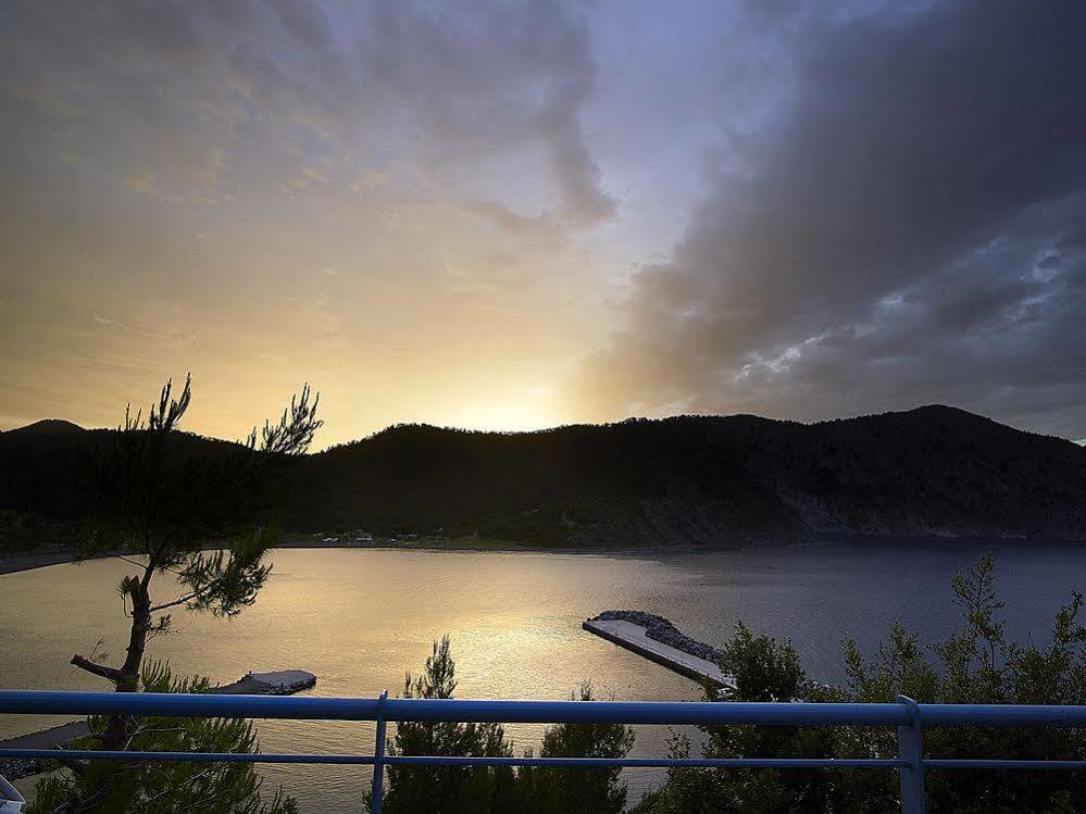 Xenia & Guest house 3*