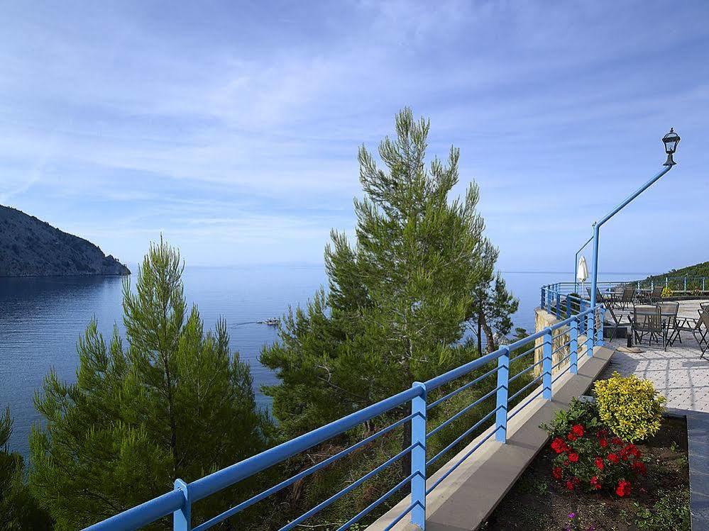 Xenia & Guest house