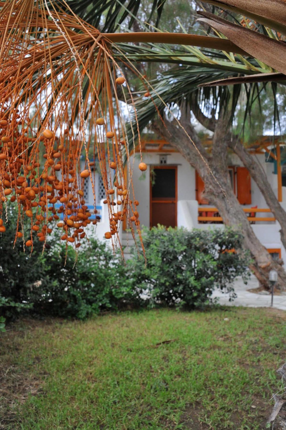 Apartment Drosoulites Agios Ioannis (Tinos)