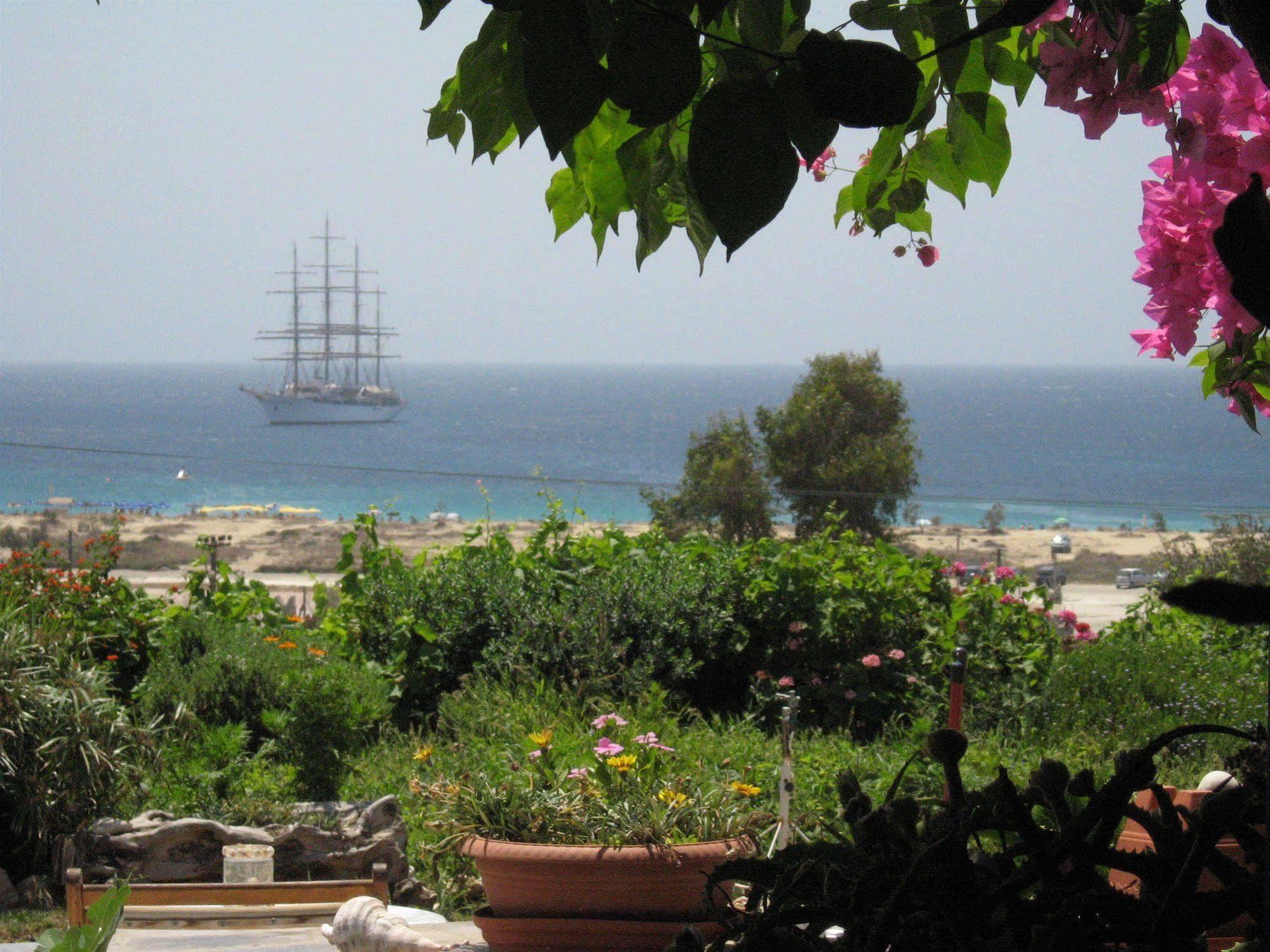 Dina Naxos Apartment Agios Prokopios (Naxos)
