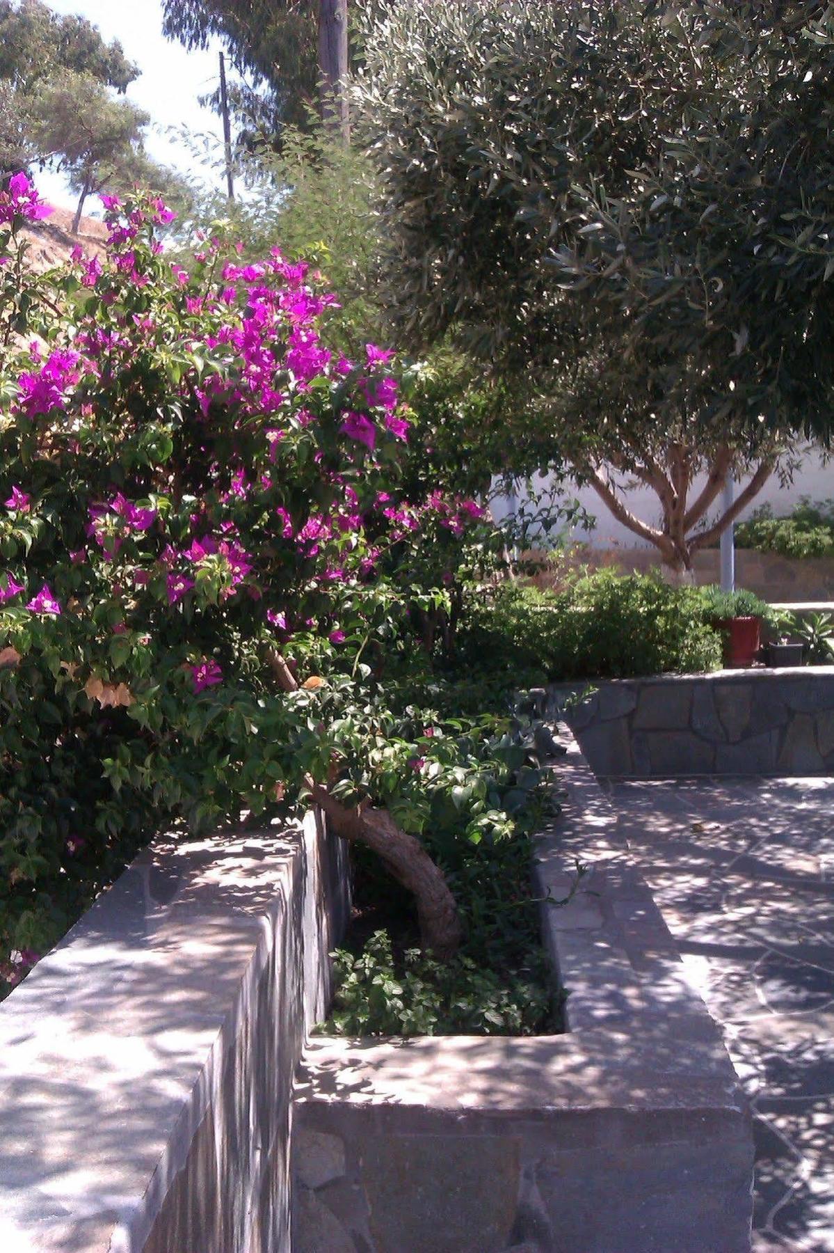 Athena Guest house 2*