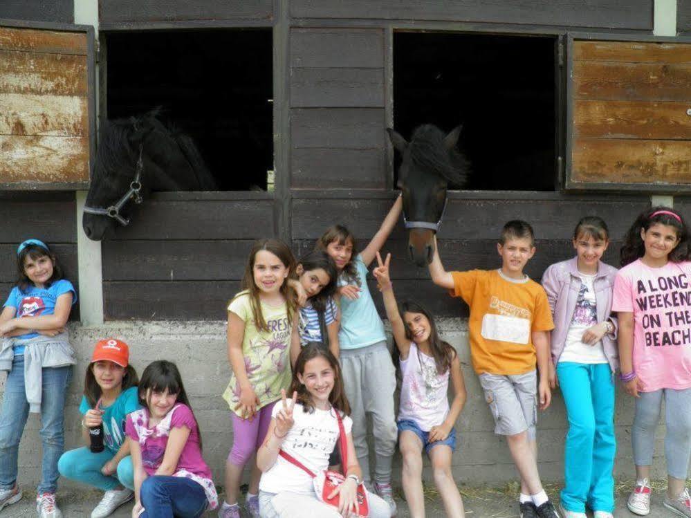 Hotel Lefkoritis Petres (Askyfou)