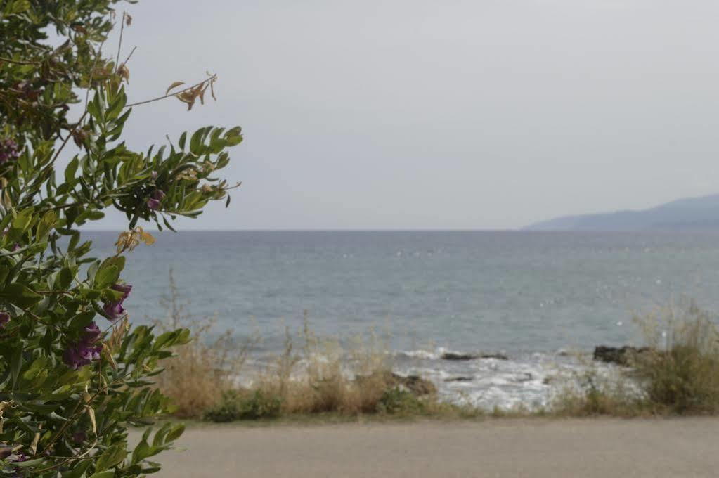 Andromeda & Studios 3* Hersonissos (Crete)