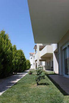 Alkistis Diakopto
