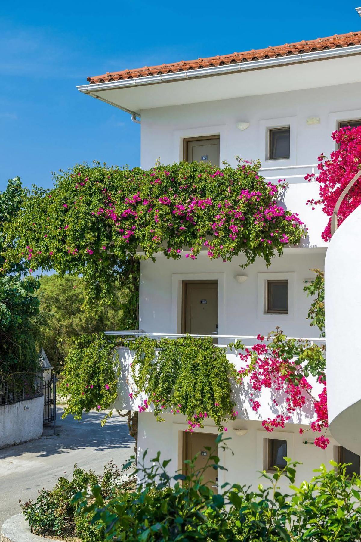 Hotel Bitzaro Palace 3*