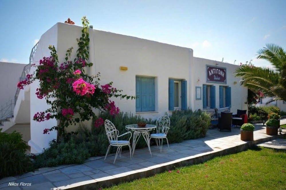 Antigoni Studios * Skyros