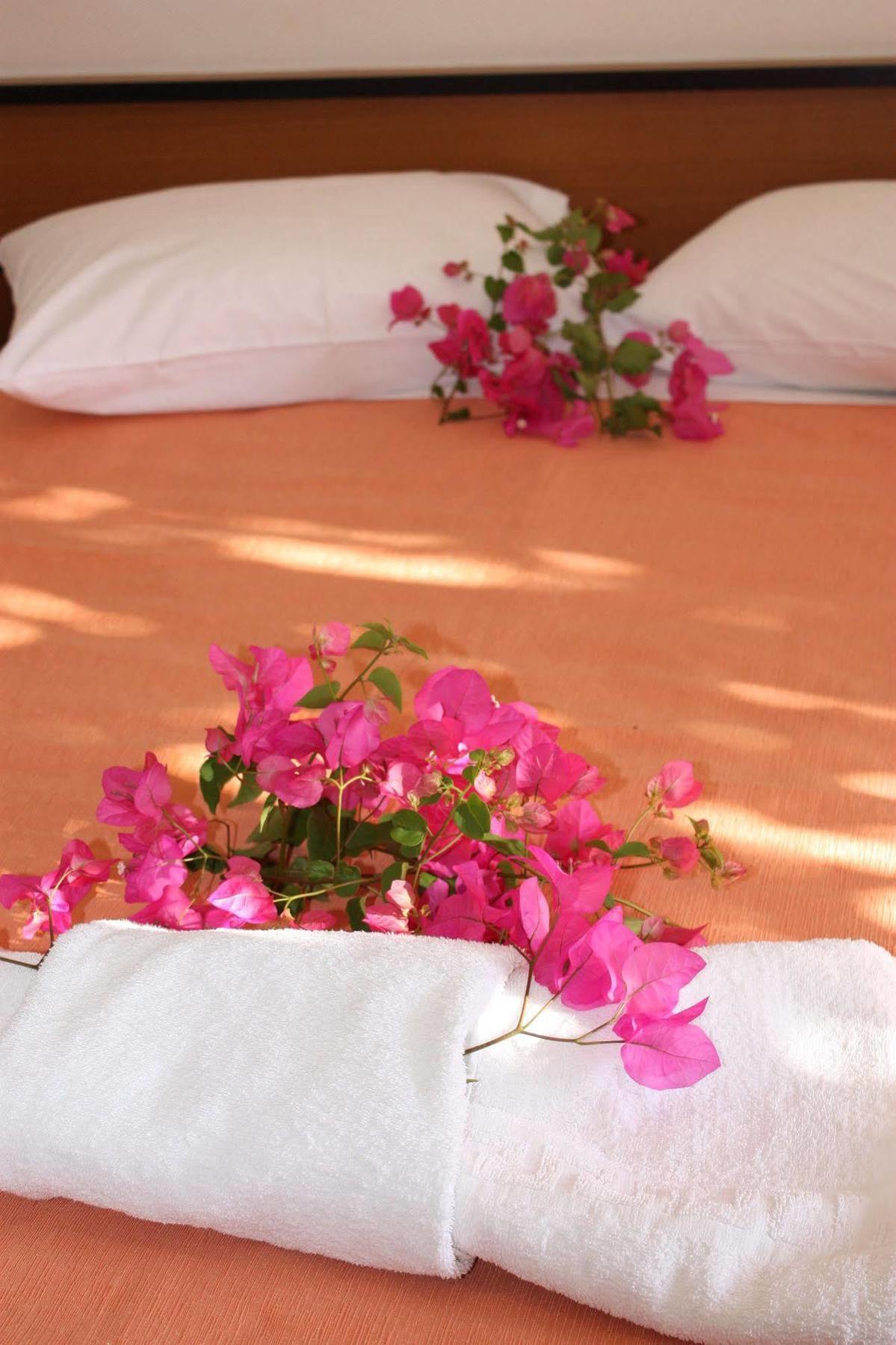 Aparthotel Aktio Studios 3*