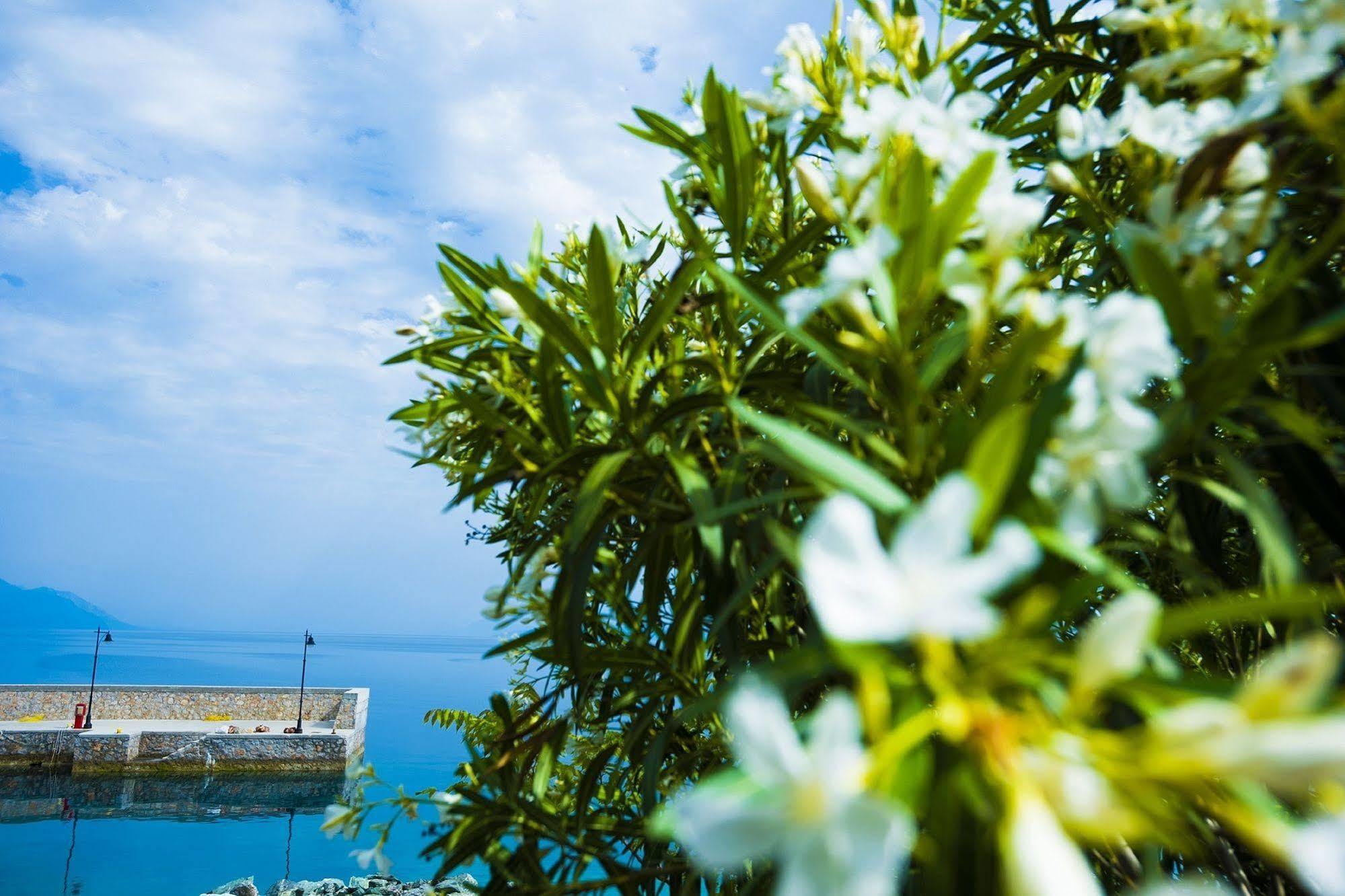 Hotel Miradouro Seafront Residences