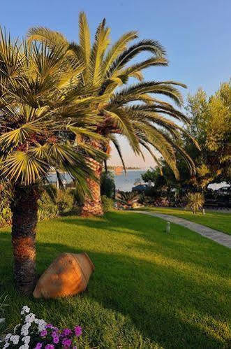 Galazia Akti * Agios Nikolaos (Evia)