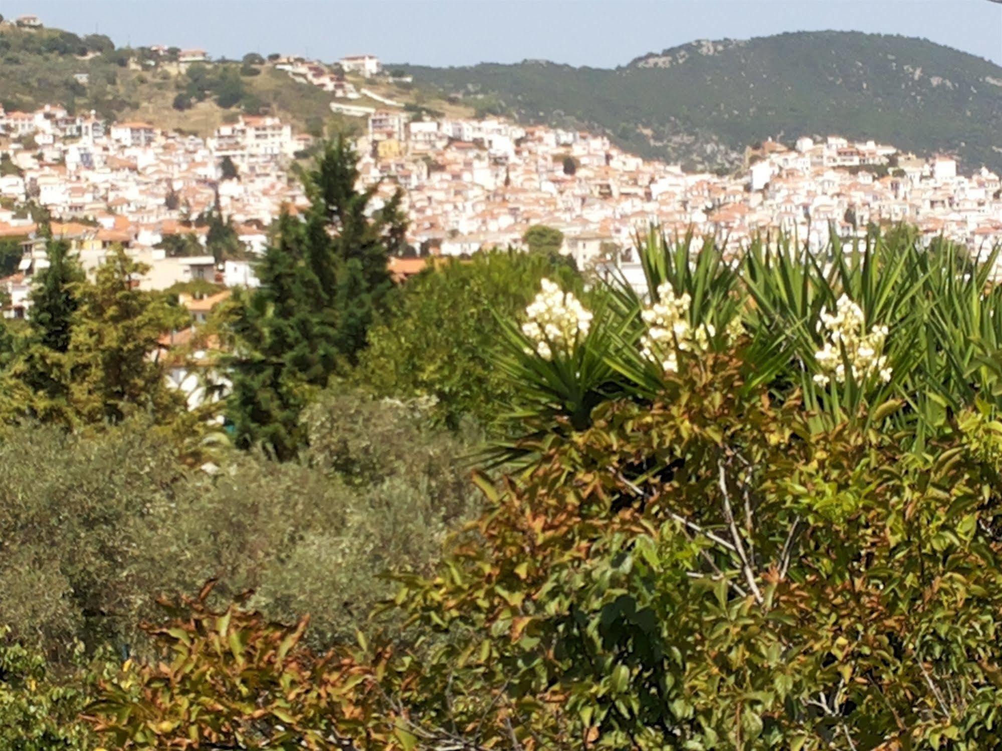 Rastoni 2* Skopelos Town