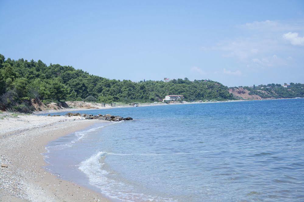 Villa Paressa Nea Fokea