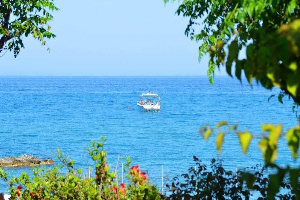 Hotel Stegna Ilion 3*