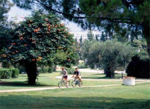 Gerakina Beach Chalkidiki