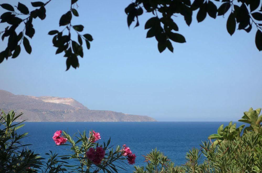 Isadora Apartment Almyrida (Crete)