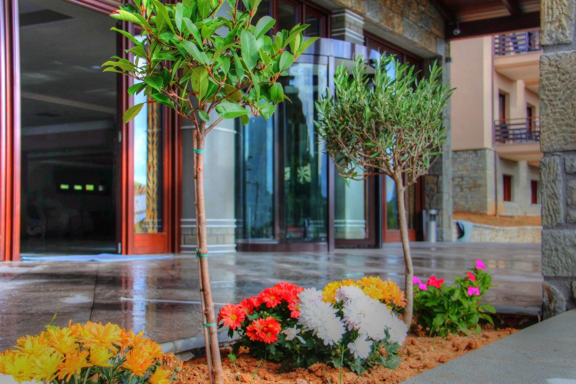 Hotel Grand Meteora