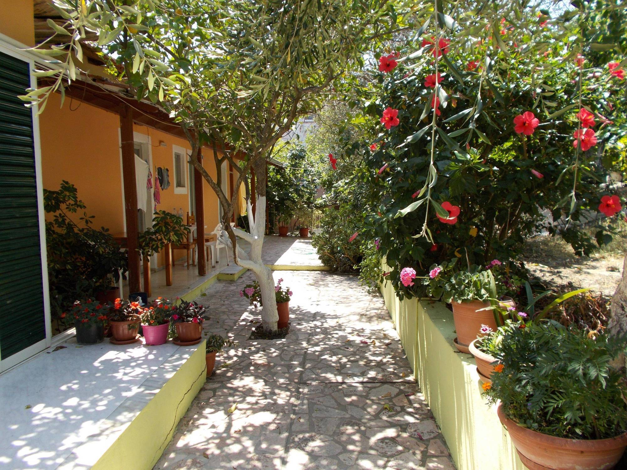 Apartment Kavos Fantasia Complex *