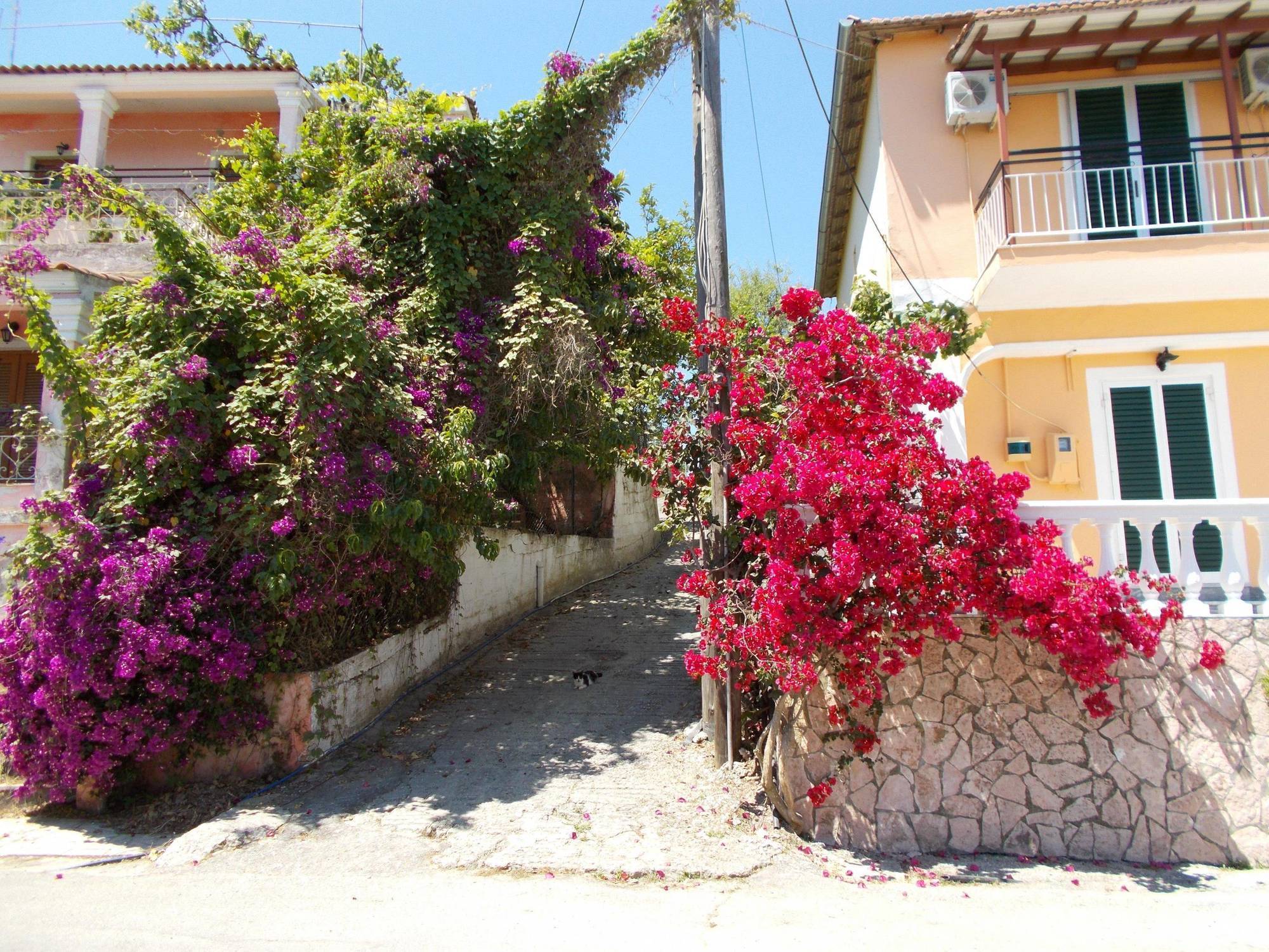 Apartment Kavos Fantasia Complex