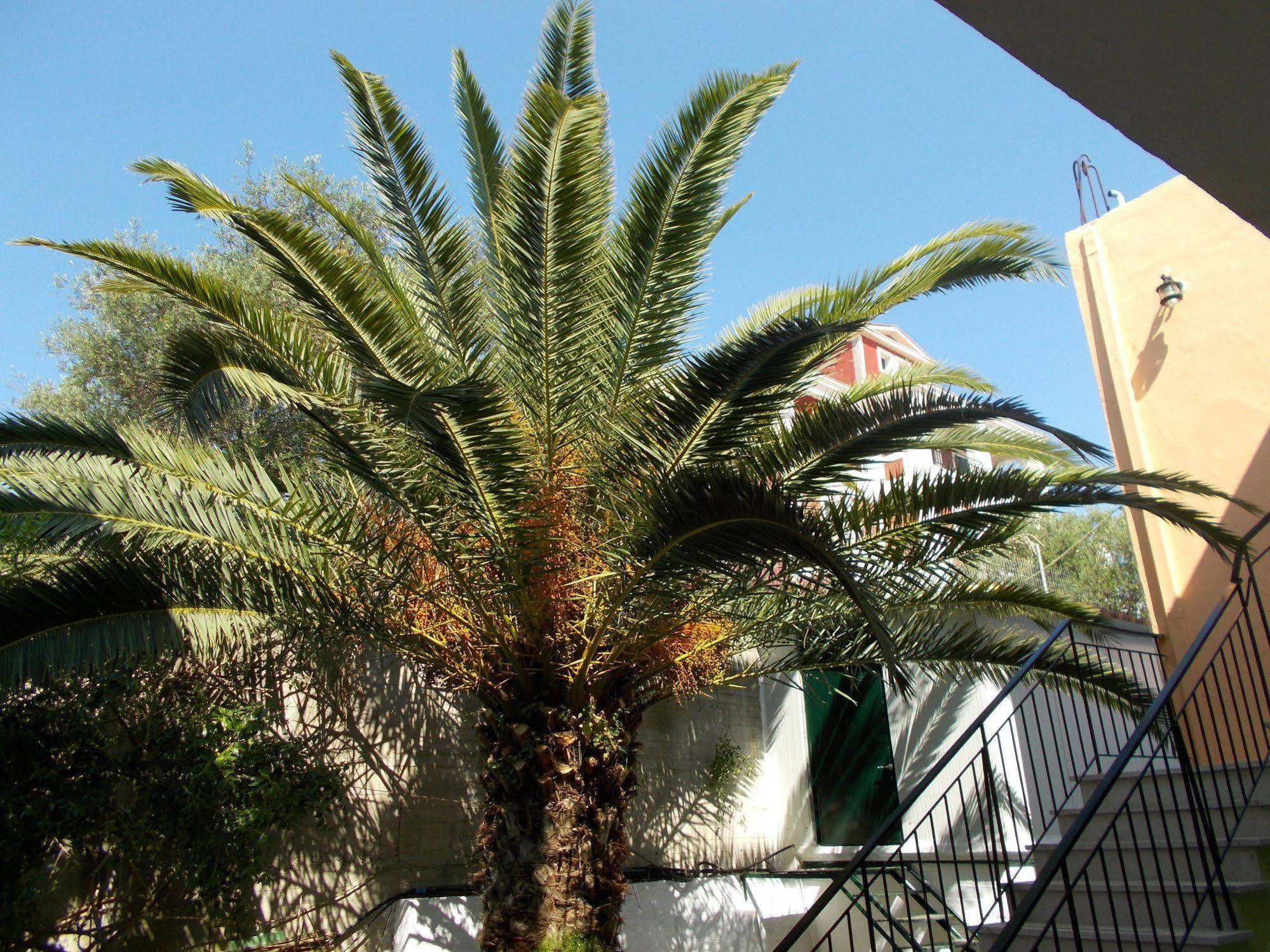 Kavos Fantasia Complex *