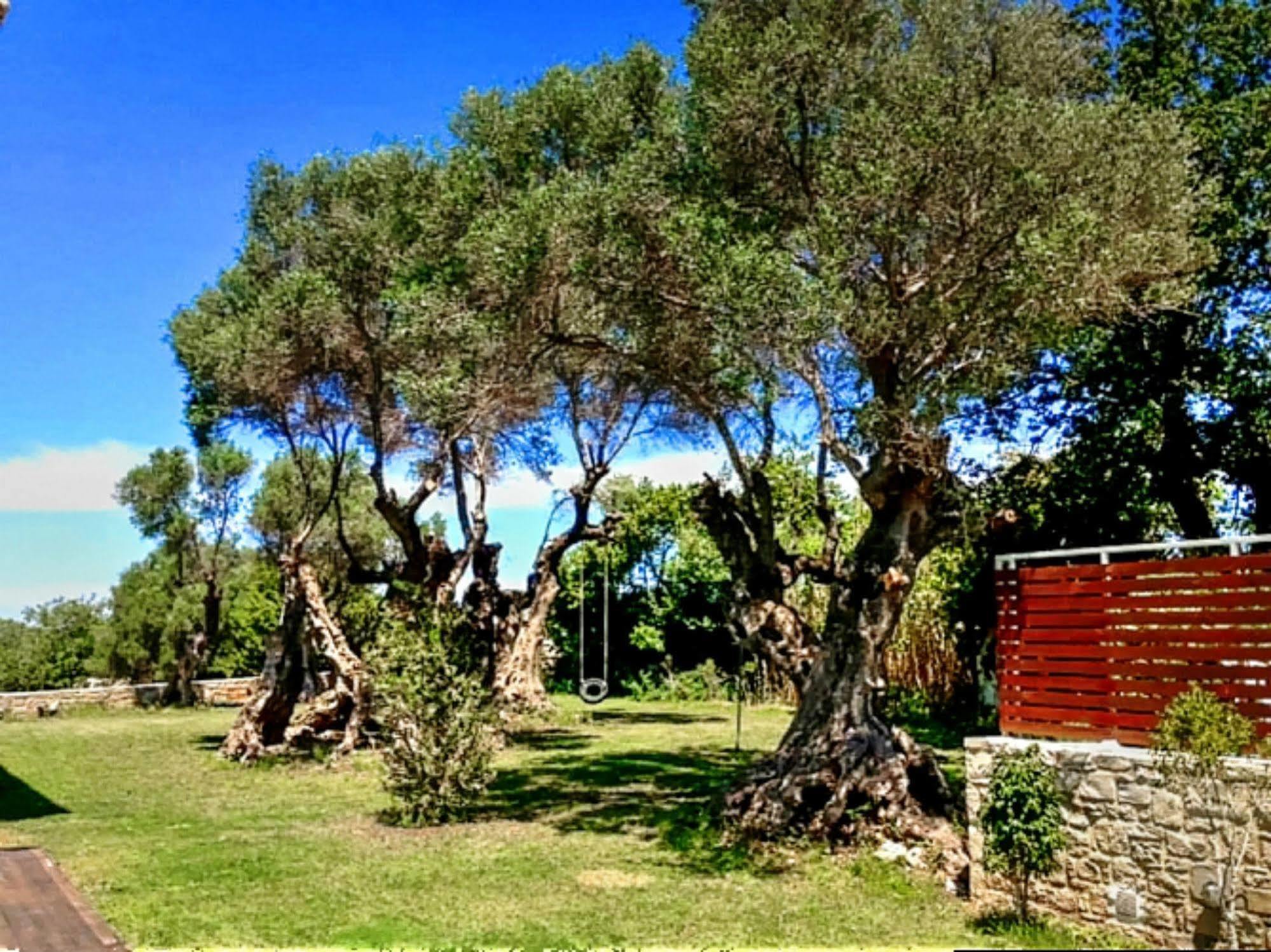 Discrete Episkopi