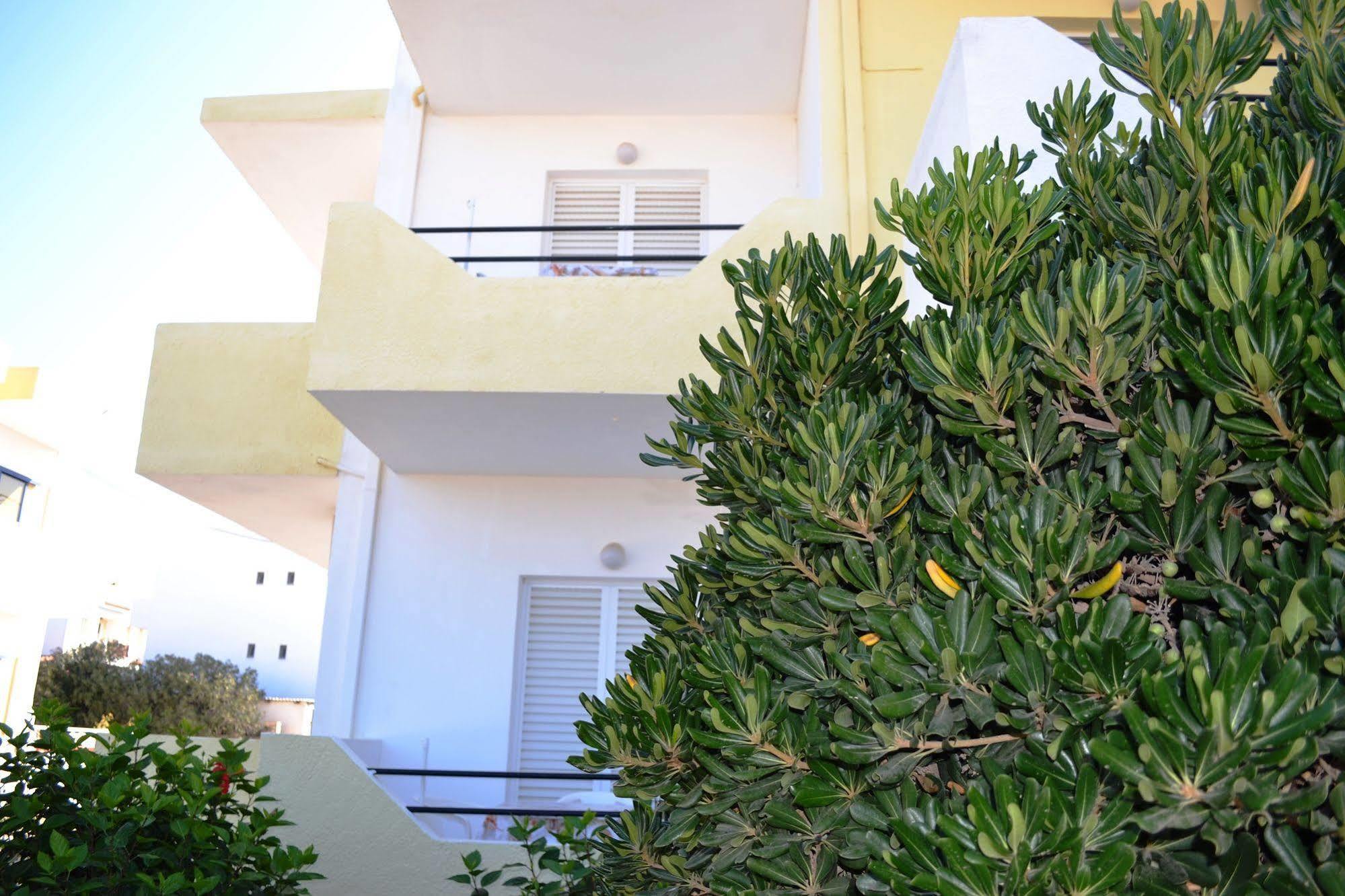 Yiannis * Mastichari (Kos)