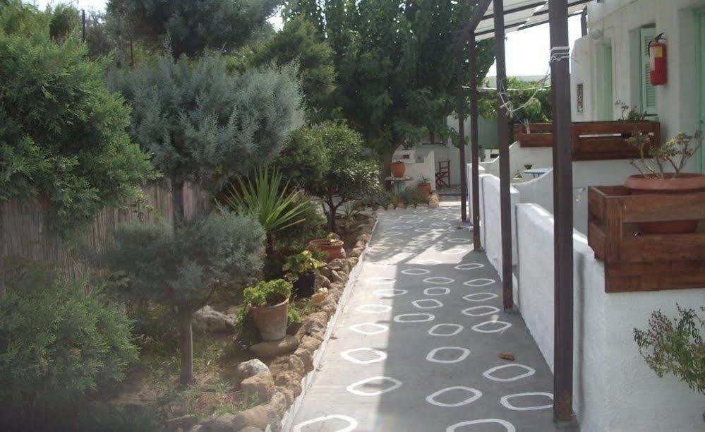 Kochylas Skyros