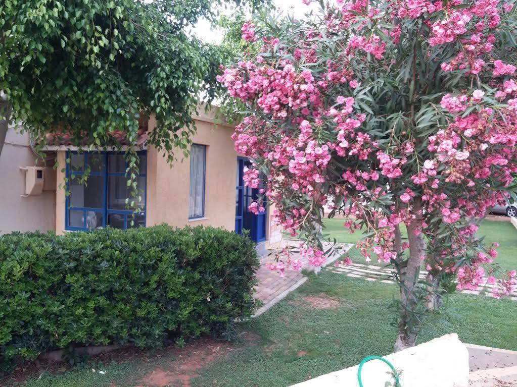 Blue Sky Apartments Malia (Crete)
