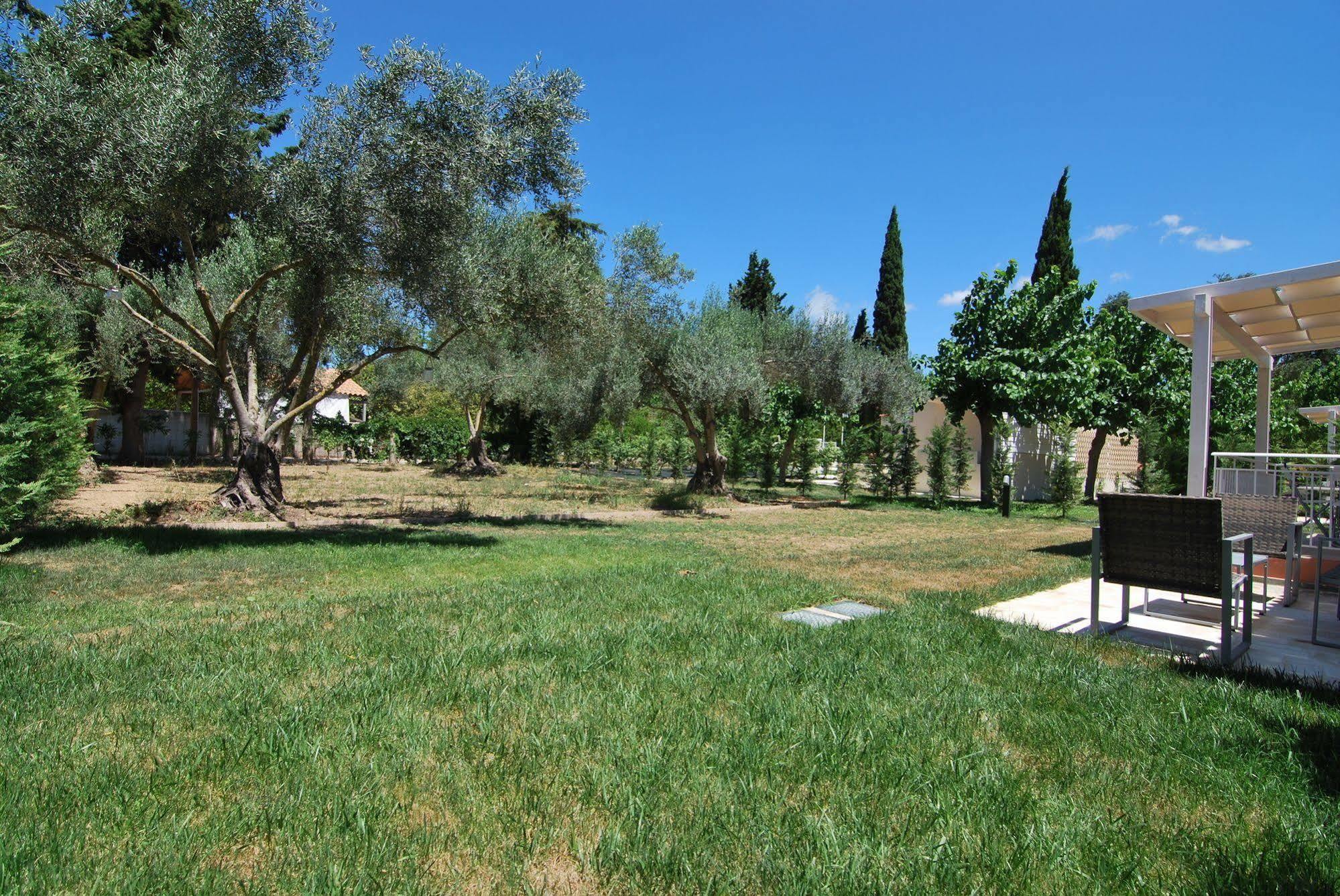 Cypress Garden