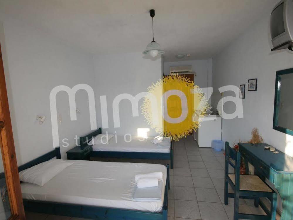 Mimoza Studios Apartment *
