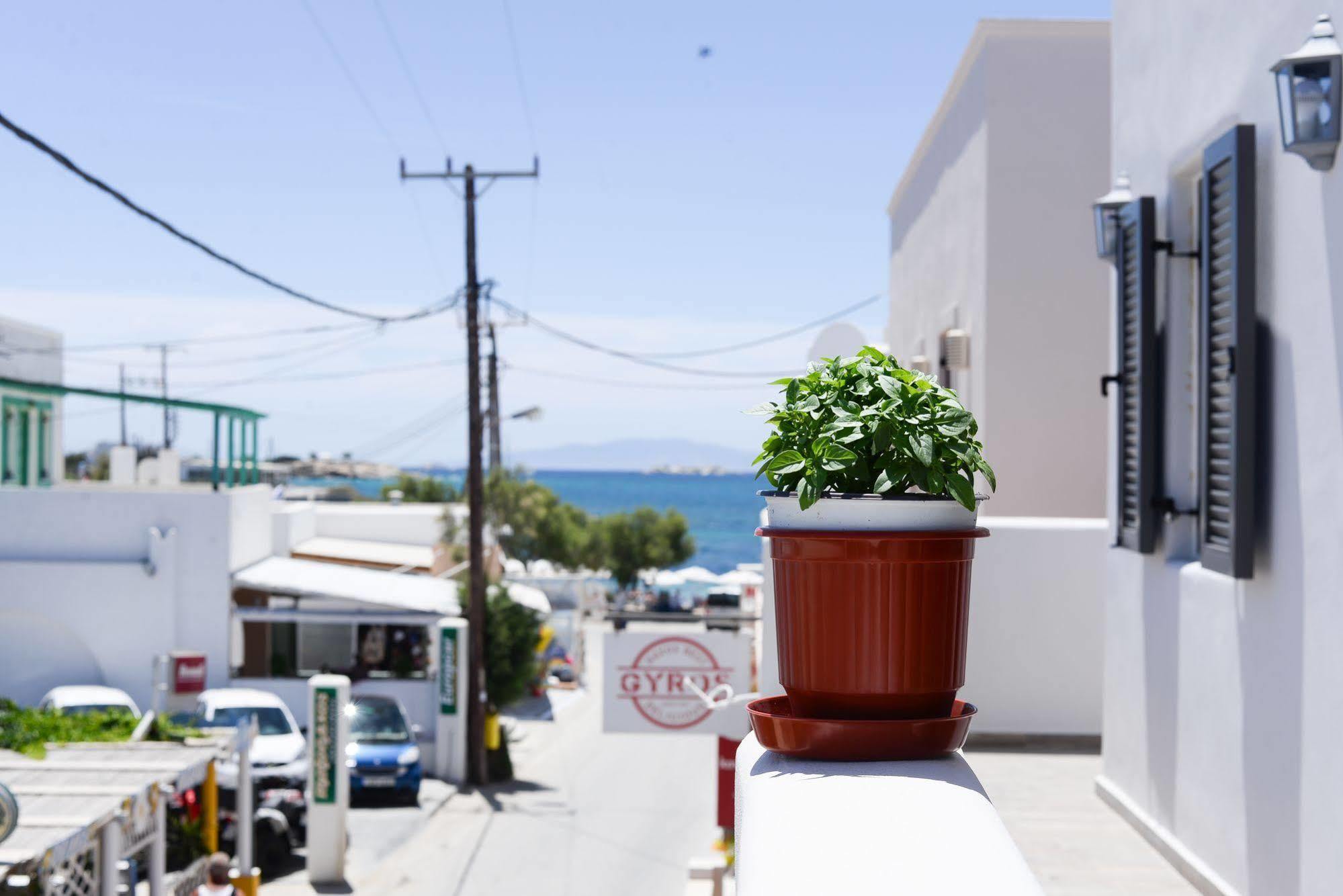 Naxos Petite Bed & Breakfast Agios Prokopios (Naxos)
