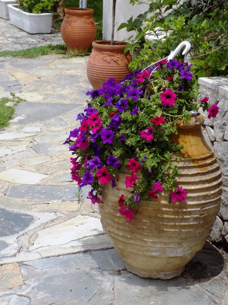 Hotel Blue Nydri (Lefkada)