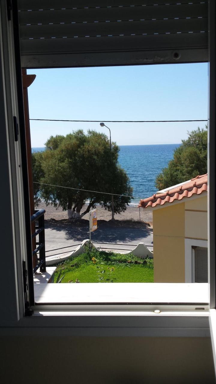 Edem * Vatera