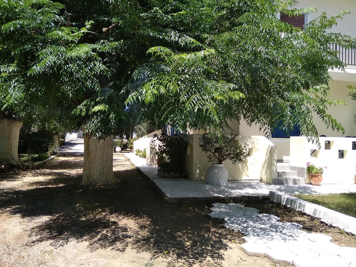 Apartment Sarantakis Agios Andreas (Messenia)