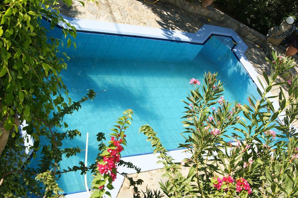 Hotel Lofos