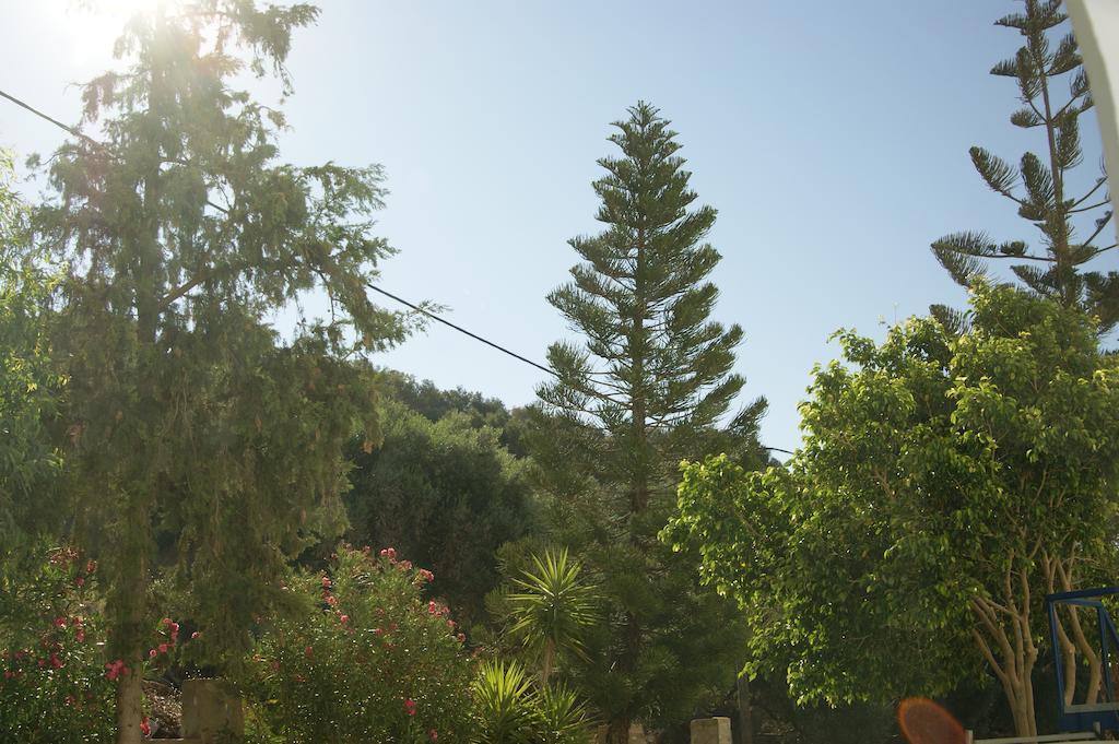 Hotel Lofos
