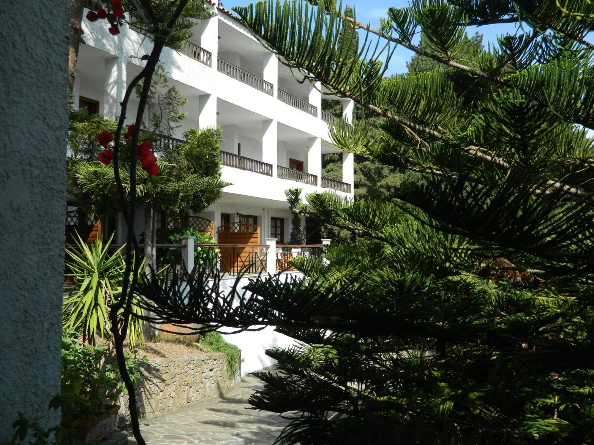 Daphne Agios Konstantinos (Samos)