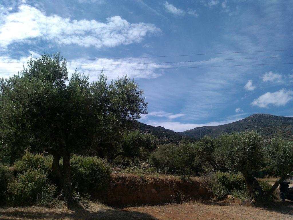 Evdokia Platis Gialos (Sifnos)