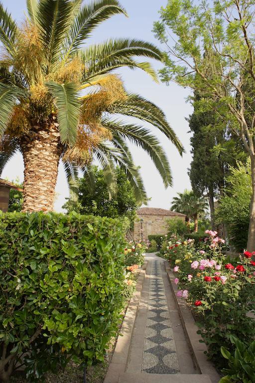 Argentikon Luxury Kampochora (Chios)