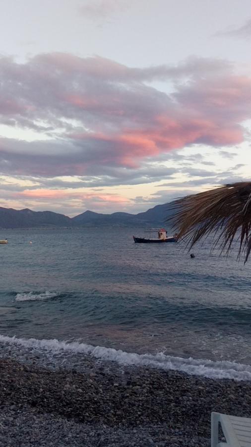 Nantia * Agios Georgios (Istiaia-Aidipsos)