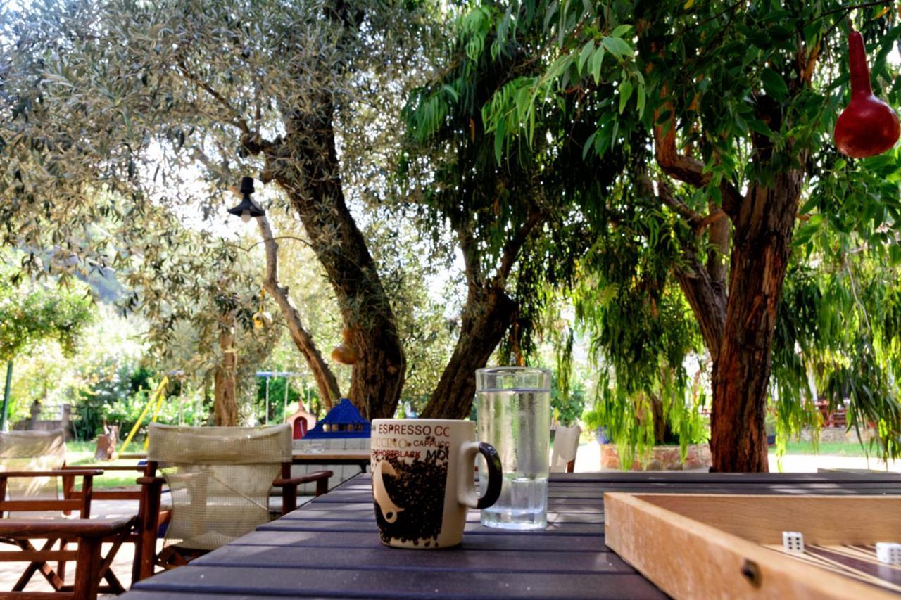 Spiros Panormos (Skopelos)