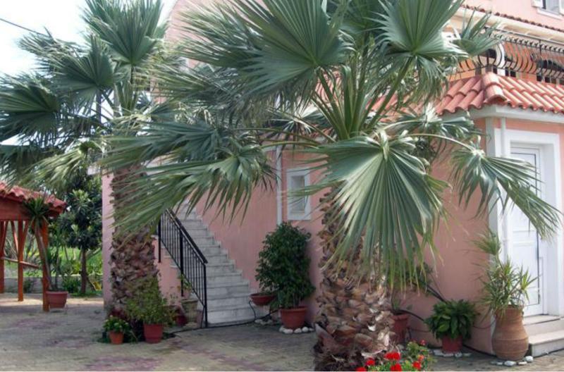 Apartment Katerina