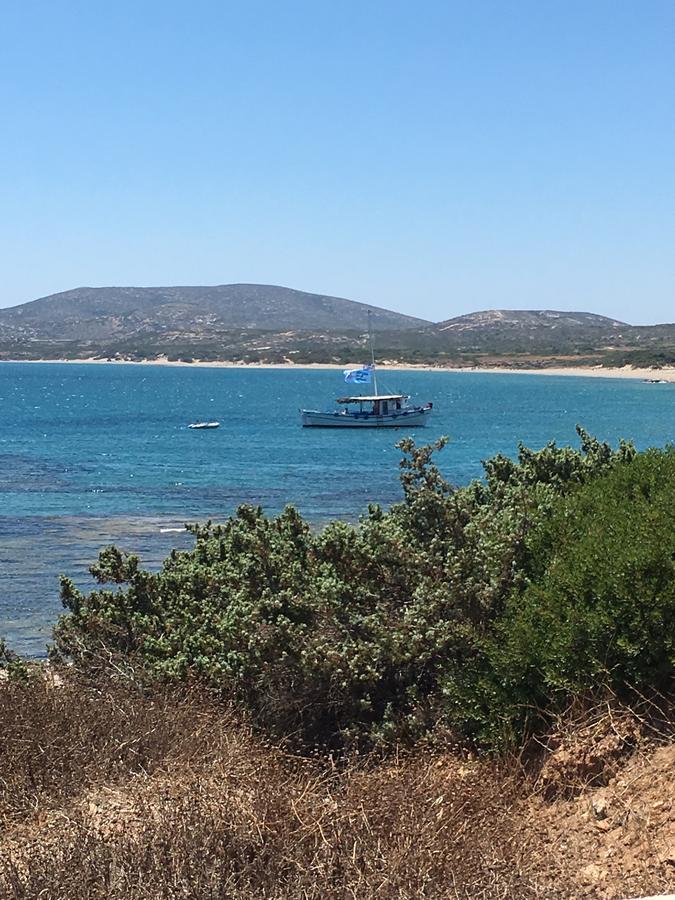 Nerida Beachfront