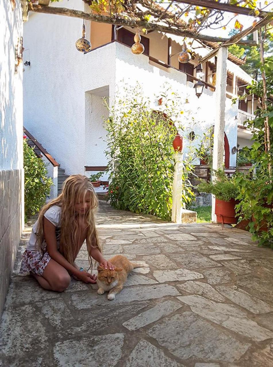 Guest house Spiros *